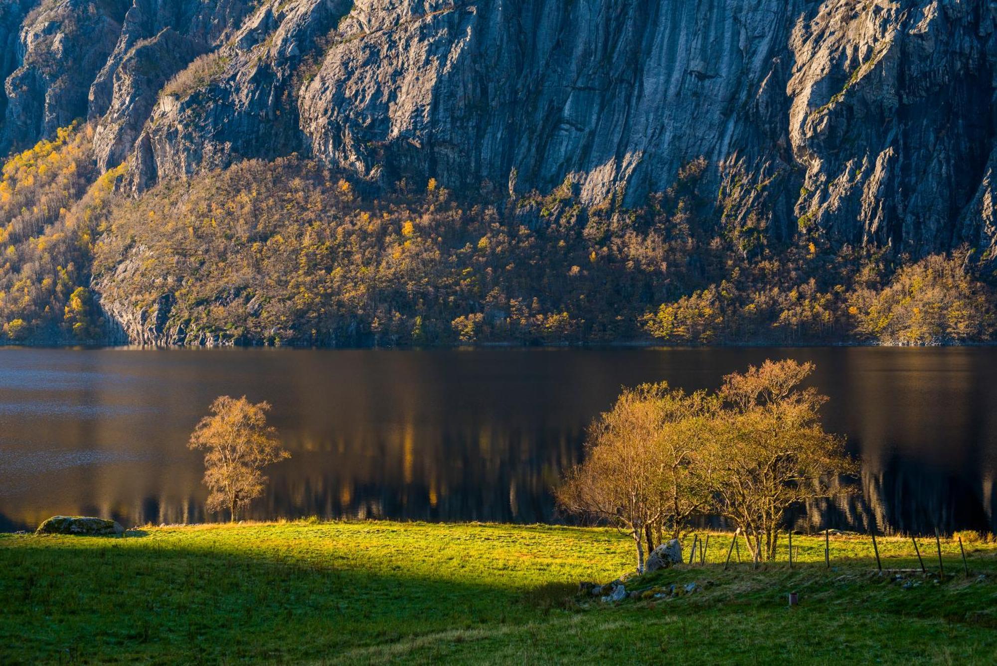 Hytte Ved Preikestolen Forsand Exterior foto